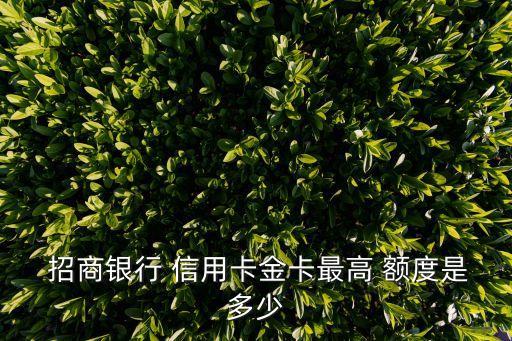  招商银行 信用卡金卡最高 额度是多少