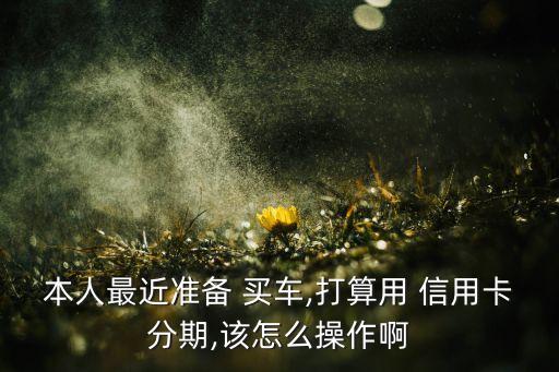 本人最近准备 买车,打算用 信用卡分期,该怎么操作啊