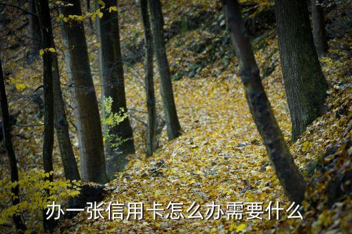 申请信用卡要买东西,为什么申请信用卡送东西?