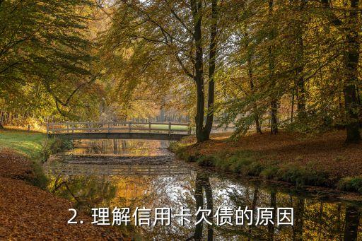 信用卡欠债七十万，信用卡欠债70万，重要性与管理知识皆不容忽视