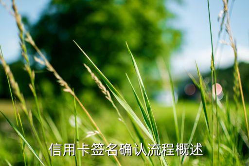 信用卡签名确认流程概述