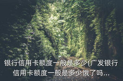 银行信用卡额度一般是多少(广发银行信用卡额度一般是多少饿了吗...