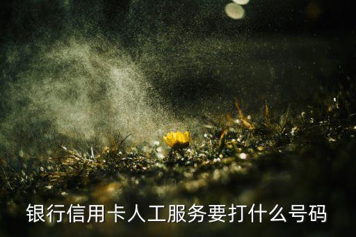 银行信用卡人工服务要打什么号码
