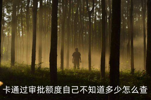 aeon信用卡怎么查额度,如何查询信用卡额度?
