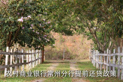 农村商业银行常州分行提前还贷政策