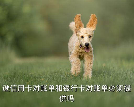 逊信用卡对账单和银行卡对账单必须提供吗