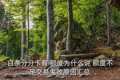 白条分分卡有 额度为什么说 额度不足交易失败原因汇总
