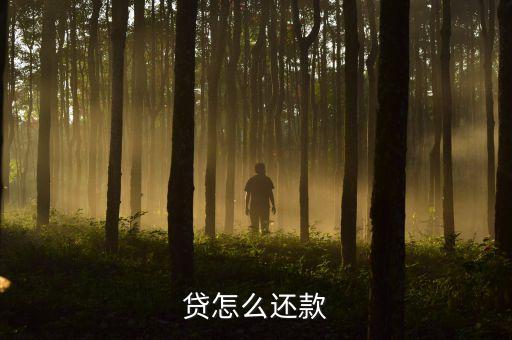 贷怎么还款