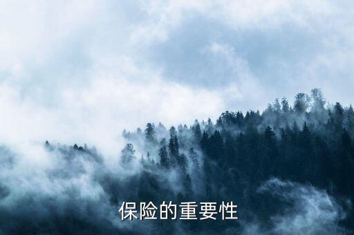 保险的重要性