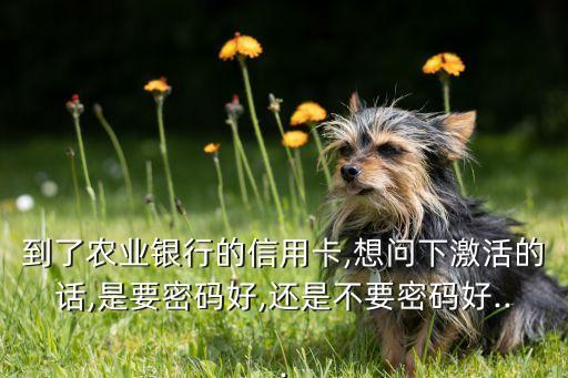农业银行信用卡  戴森,中国农业银行信用卡