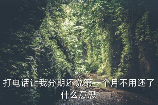 建行打电话信用卡分期,为什么建行总叫我分阶段?