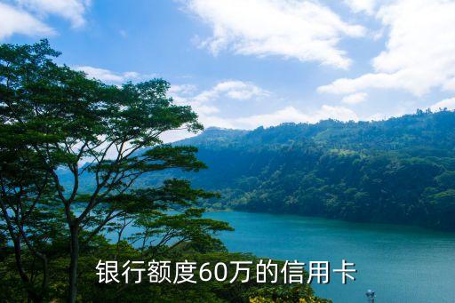 银行额度60万的信用卡