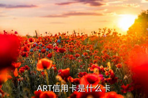 ART信用卡是什么卡