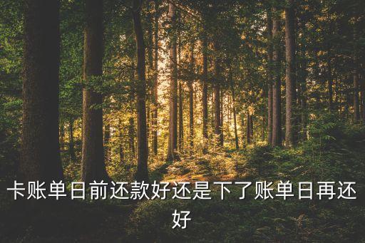 卡账单日前还款好还是下了账单日再还好