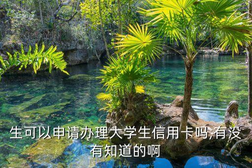 招商银行信用卡学生卡办理,学生可以申请招商银行信用卡吗?