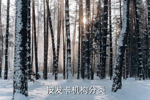 按发卡机构分类