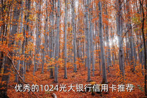 优秀的1024光大银行信用卡推荐