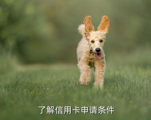 了解信用卡申请条件