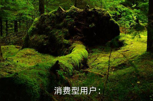 消费型用户: