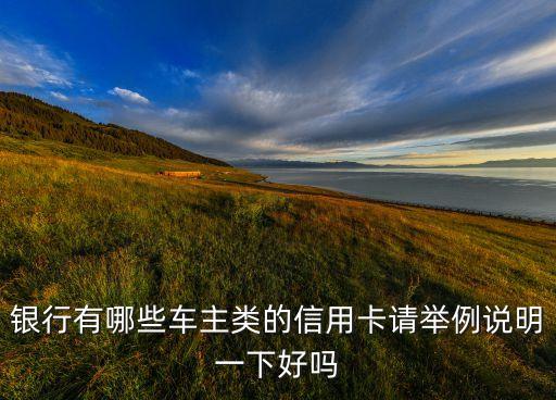 银行有哪些车主类的信用卡请举例说明一下好吗