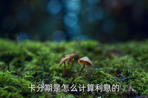 卡分期是怎么计算利息的