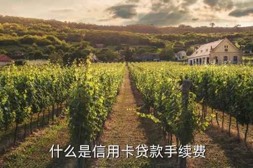 什么是信用卡贷款手续费