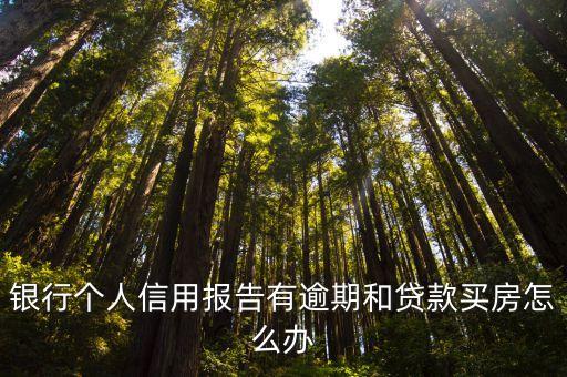 银行个人信用报告有逾期和贷款买房怎么办