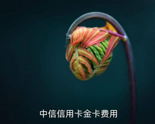 中信信用卡金卡费用