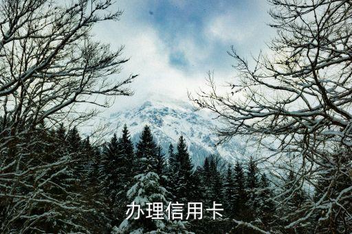办理信用卡