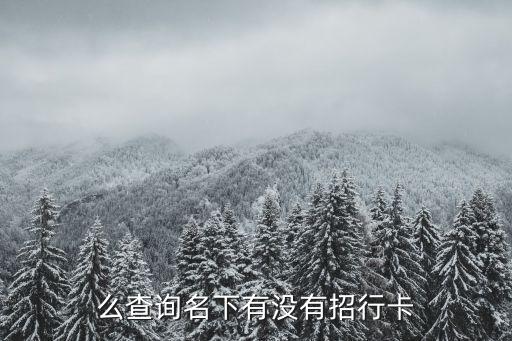 么查询名下有没有招行卡