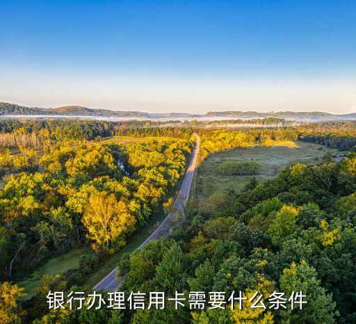 银行办理信用卡需要什么条件