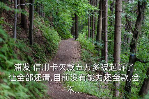  浦发 信用卡欠款五万多被起诉了,让全部还清,目前没有能力还全款,会不...