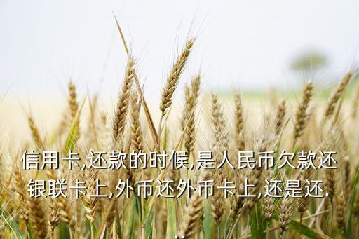 信用卡,还款的时候,是人民币欠款还银联卡上,外币还外币卡上,还是还...