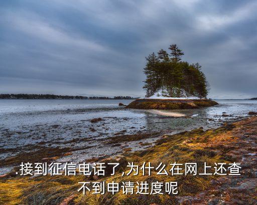 .接到征信电话了,为什么在网上还查不到申请进度呢