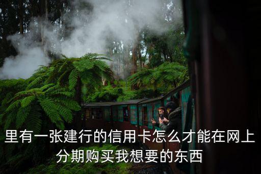 里有一张建行的信用卡怎么才能在网上分期购买我想要的东西