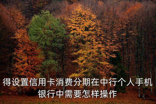 得设置信用卡消费分期在中行个人手机银行中需要怎样操作