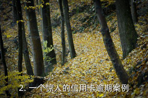 信用卡逾期严重案例，信用卡逾期案例惊人！