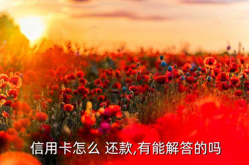  信用卡怎么 还款,有能解答的吗
