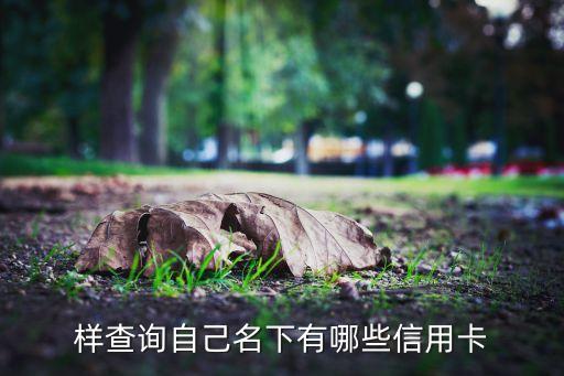 样查询自己名下有哪些信用卡