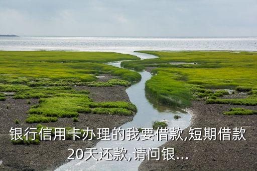 中信银行信用卡二十个,2021中信银行信用卡