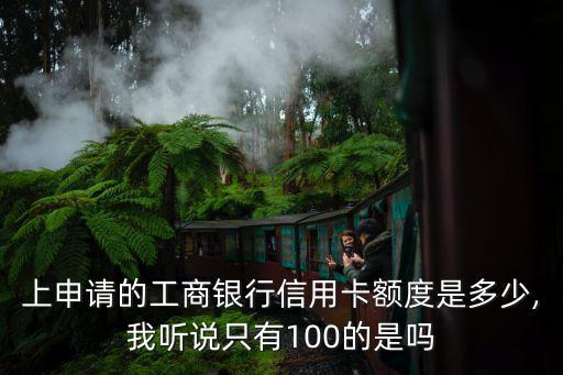 网上办理信用卡有多少额度,一般信用卡额度是多少?