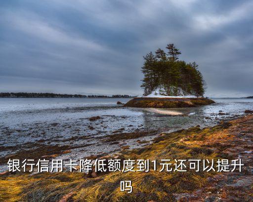 中国银行信用卡分期降额,中行的信用卡会降价吗?