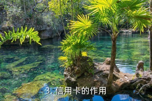 信用卡的发展模式，信用卡的发展路径