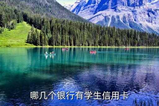 哪几个银行有学生信用卡