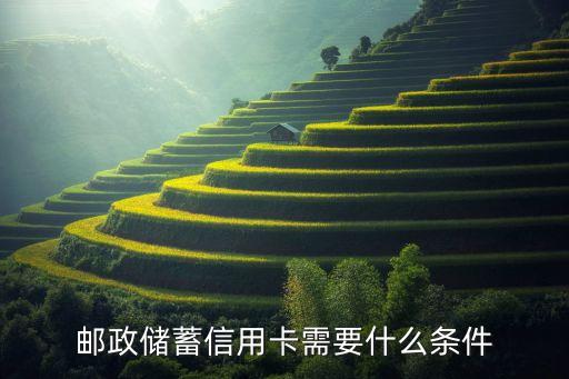 邮政储蓄信用卡需要什么条件