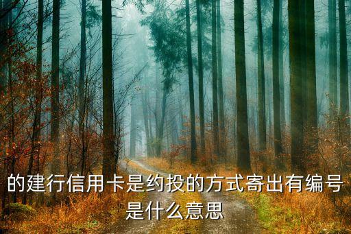 的建行信用卡是约投的方式寄出有编号是什么意思