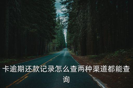 卡逾期还款记录怎么查两种渠道都能查询