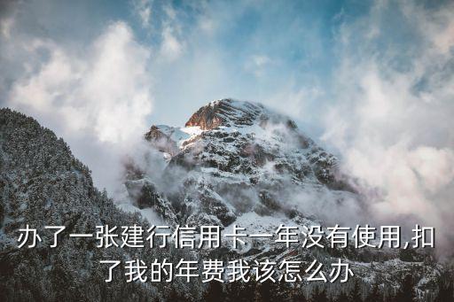 办了一张建行信用卡一年没有使用,扣了我的年费我该怎么办