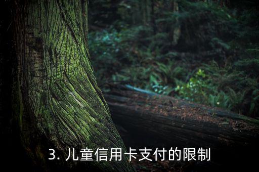 儿童信用卡支付，儿童使用信用卡支付的相关事宜
