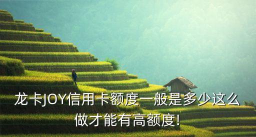 龙卡JOY信用卡额度一般是多少这么做才能有高额度!